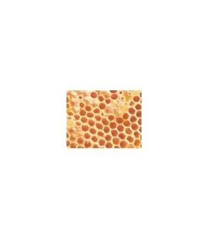 Tonn's Comb Honey