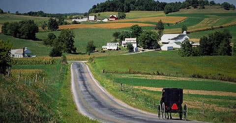 Inspiring story on Shisler's Cheese House in Ohio