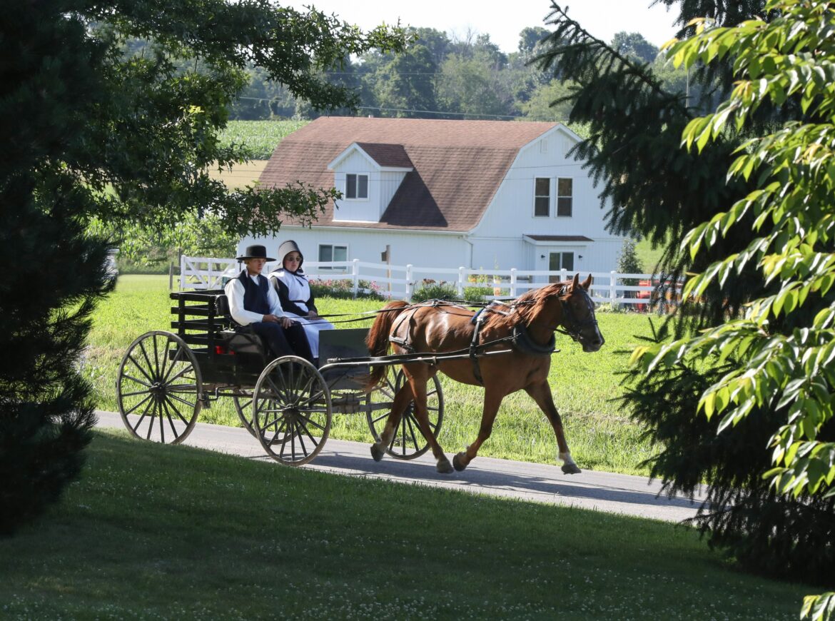 Horse-drawn buggy on a country road in Holmes County, Ohio with rolling farmland in the background
