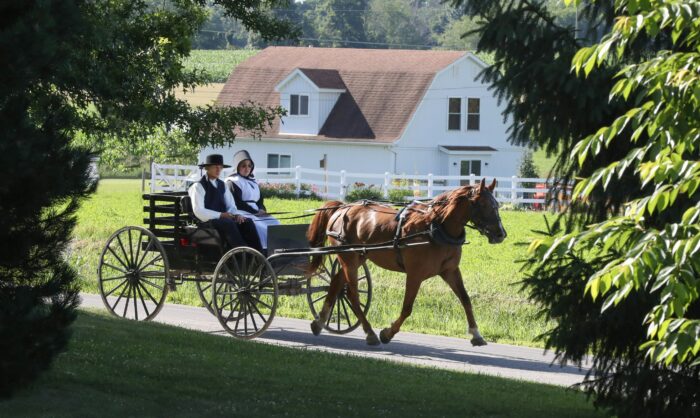 Horse-drawn buggy on a country road in Holmes County, Ohio with rolling farmland in the background